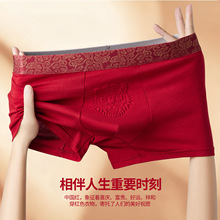 �Ƽtɫ��ʿ���ރ�ѝ�����R�걾�������\���^ӡ�����y͸��ƽ��ѝ