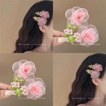 ���ɾW������l�A������ɫ�^����@�L�Շ��Є����A��Ů�Ă�߅BB�A