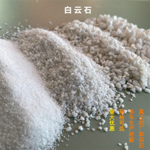 llƺðʯˮĥʯѩײƺʯɳʯӢɰ