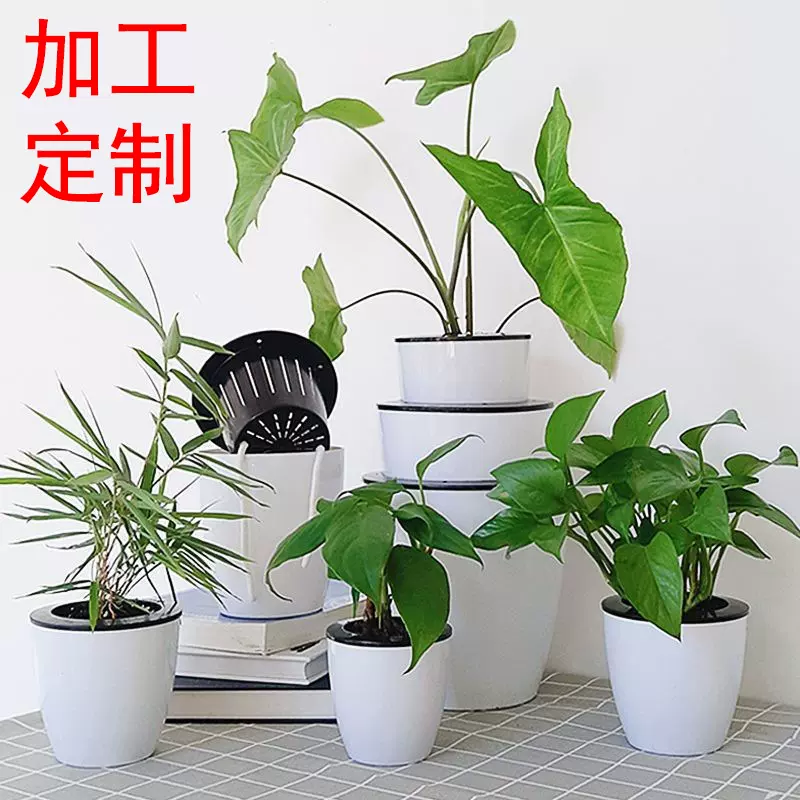 自动吸水懒人花盆树脂塑料花盆绿萝园艺花箱园林圆形大号恐龙蛋盆