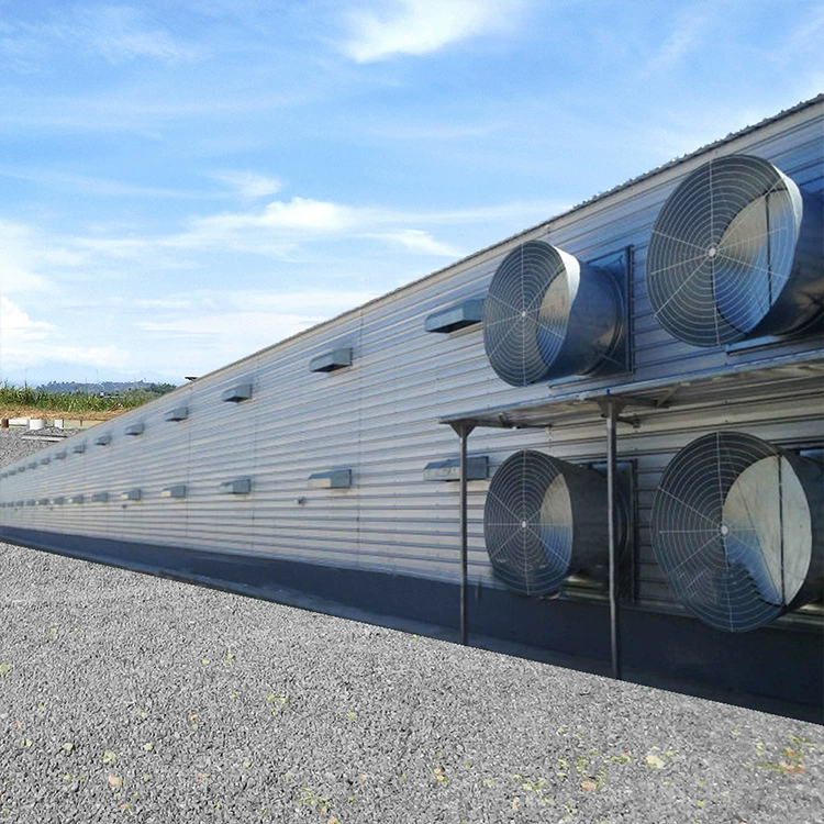 Низкая цена, прямые поставки с завода: двухэтажные стальные конструкции для птицефабрик, клетки для кур свободного выгула и птичники, профессиональный экспорт.