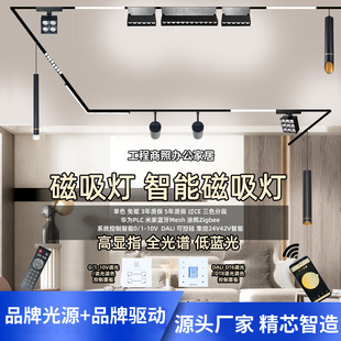 Magnetic Lamp Track Light Osl Light Source Remote Control Zigbee Smart Bluetooth Mesh0-10V Dimming Dali Centralized Control 24