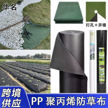 跨境 PP纺粘无纺布防草布 加厚耐用抗老化渗水保湿园林景观除草布