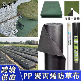 �羳 PP��ճ�o�������ݲ� �Ӻ����ÿ��ϻ��Bˮ����@�־��^���ݲ�