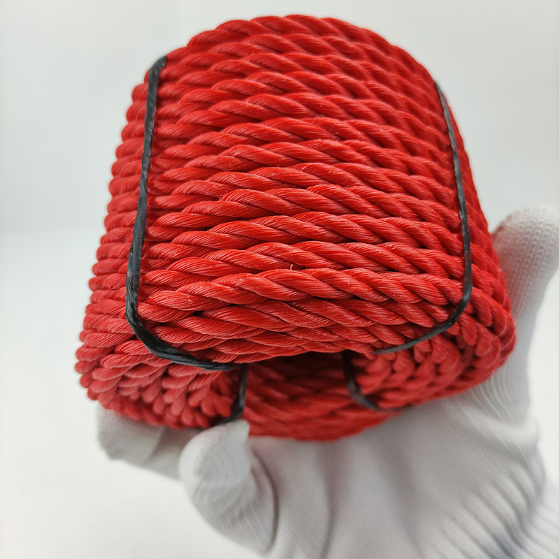 ����ó���ڡ��۱�ϩ ���ɱ����� 6mm 20��һ�� ����������������