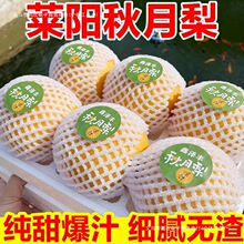 梨子冰糖雪梨新鲜水果应季黄花鸭丰水甜梨批发秋月梨其他绿色食品
