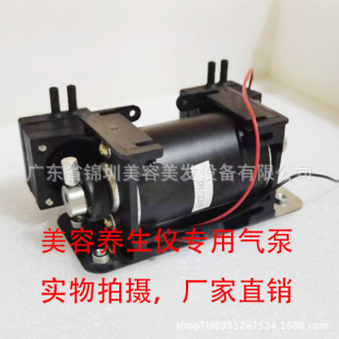 Air Pump Motor with High Suction Power for Beauty and Wellness Device Accessories, Dual Pump Negative Pressure Gua Sha Suction Spray, Factory Direct Sale for Health Care
