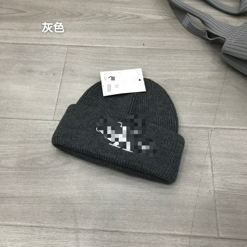 秋冬ck字母刺绣毛线帽子女保暖护耳针织瓜皮帽男冷帽冬季保暖帽|undefined