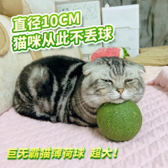 Super Large 10cm Catnip Ball Giant Bug Gall Fruit Cat Toy Durable Self-Having Wholesale