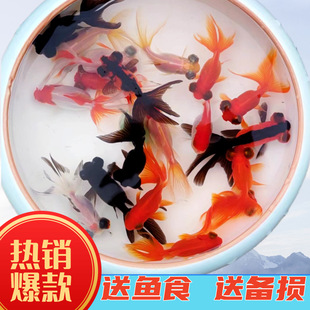 С���~�ͻ��^�p�~������ˮ�~�絭ˮ���۾����ֺ��B���N����[��