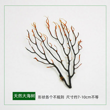 ΢���^���������B�~���쾰�[���b����֬����ɺ��ֲ������ˮ��