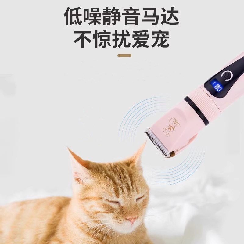 강아지 면도기, 애완동물용 전기 이발기, 테디캣 면도기, 전문 전기 이발기, 발털 제거 도구
