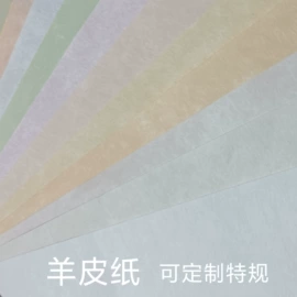 特种纸;艺术纸;卡纸