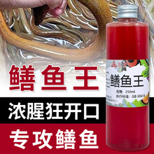 ץ�S�XСș�S�X�T�D�X�~�Tʳ���ȳ��T�����q�S�������r�\�T�~�D��