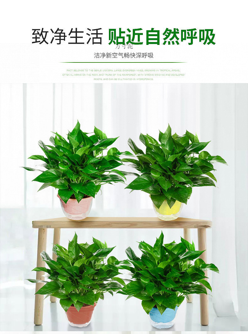 1e0ae2be-cbba-4a76-95dc-99564869fdb3.jpe