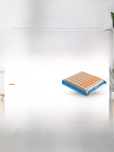 Factory Direct Sale Rutin Incubator Egg Hatcher Machine for Small Eggs, Mini Home Use Fully Automatic Incubator