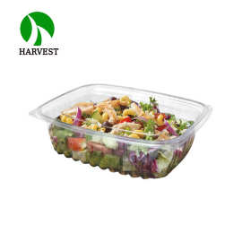 HB-48OZ一次性塑料透明pet食品级1斤装水果盒塑料蔬果冬枣盒子