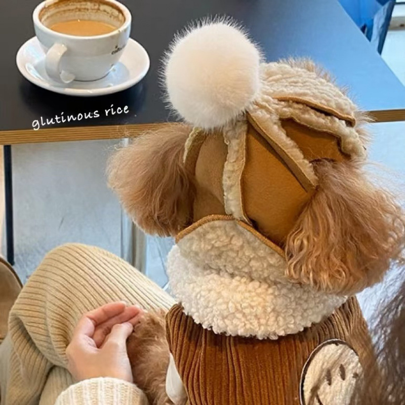 Dog Hat Fleece-Lined to Heattech in Autumn and Winter Teddy Bichon French Dou Shiba Inu Schnauzer Pet Headwear Hat Imitation Goatskin Hat
