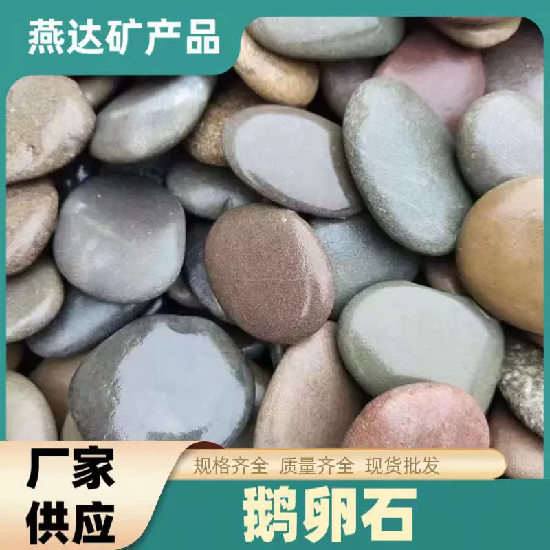 天然鹅卵石扁石头铺路石子园艺鱼缸石头雨花石鹅暖石压泡菜石片石