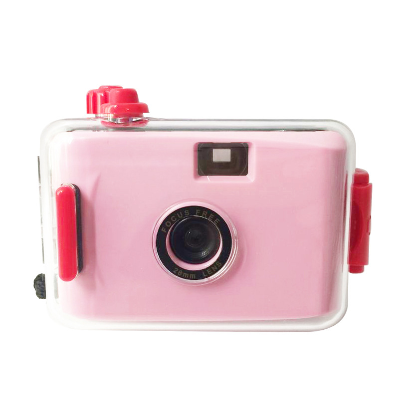 Light pink shell