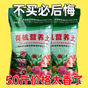 �����N������G�}�m���������ЙC�������Gֲ����ֲ���¼�����