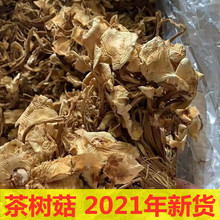 茶树菇干货跑江湖地摊展会2021年新货菌菇类批发成都一手货源直发