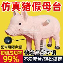 公猪采精设备人工授精畜牧升级加重配种假猪台假母猪台采精假母台