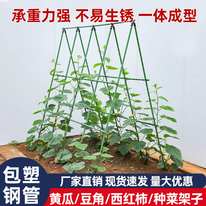 つるラック、フラワーラック、プラスチックコーティングされた鋼管、バラ、豆、トマト、キュウリ、園芸固定ロッド、ブドウ植物サポートラック|undefined