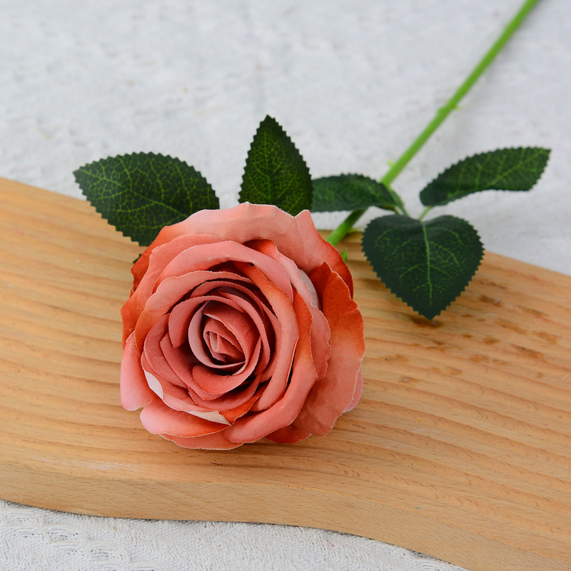 Curry (large flannel)