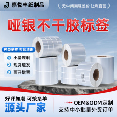 厂家直发哑银PET不干胶标签纸防油防刮贴纸亚银条码打印纸撕不烂