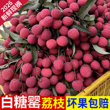 新鲜水果荔枝妃子笑白糖罂果园现摘现发饱满多汁坏果包赔团购批发