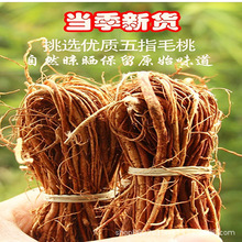 Ұ����ָë�Ҹ������������r����צ��5g�Ҝ�����