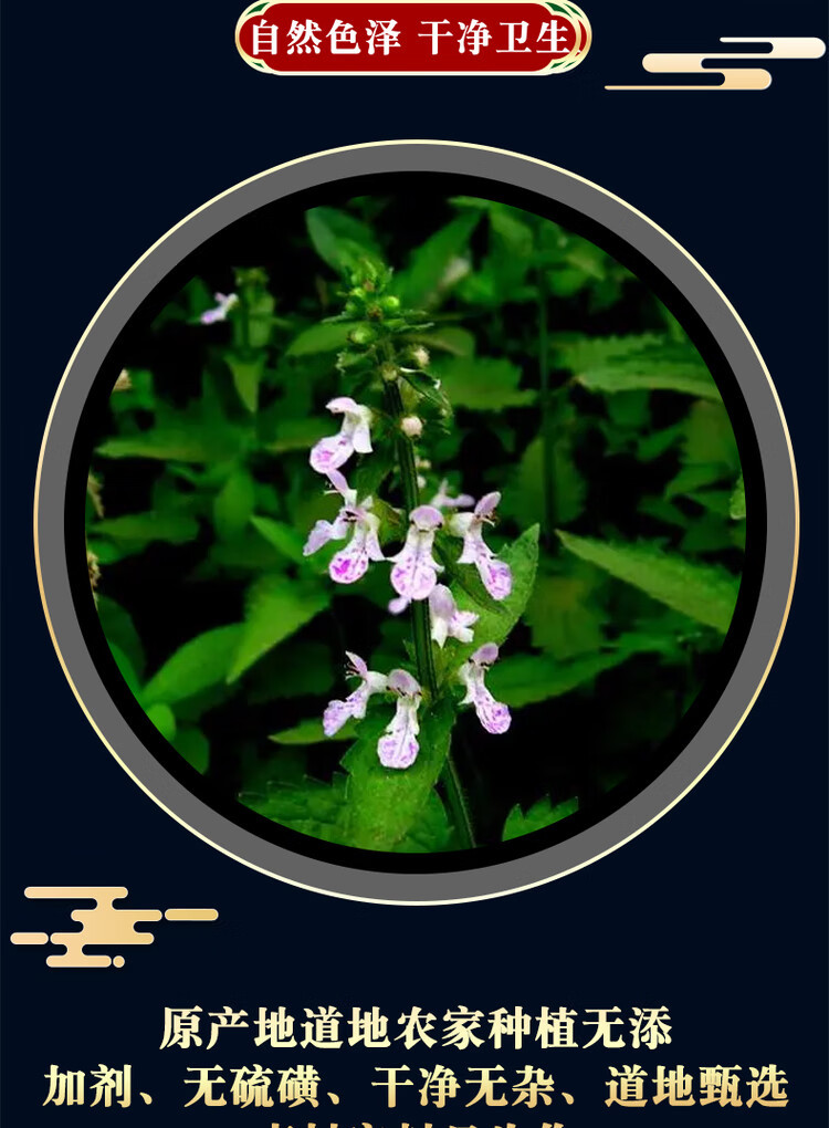 Chinese Artichoke Cao Shi Can 500g Dried Stachys Sieboldii Rhizome Traditional Herbal Ingredient key features