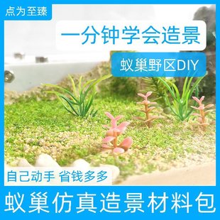 Λρ���t�Sʯ���Λρ�Ǳ���Ӆ^��B�䳲�쾰��ʯ�^�[���b�