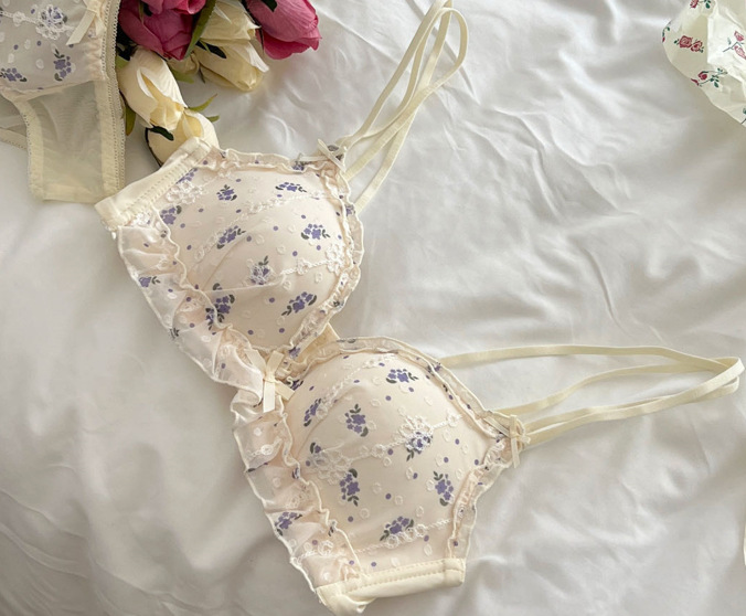 Venta directa de fábrica comercio electrónico transfronterizo Sudeste de Asia Vietnam Tailandia damas estilo francés delgado y fruncido sujetador floral