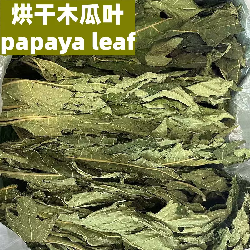 烘干木瓜叶500g一斤 木瓜叶茶 番木瓜叶干叶 papaya leaf 木瓜叶