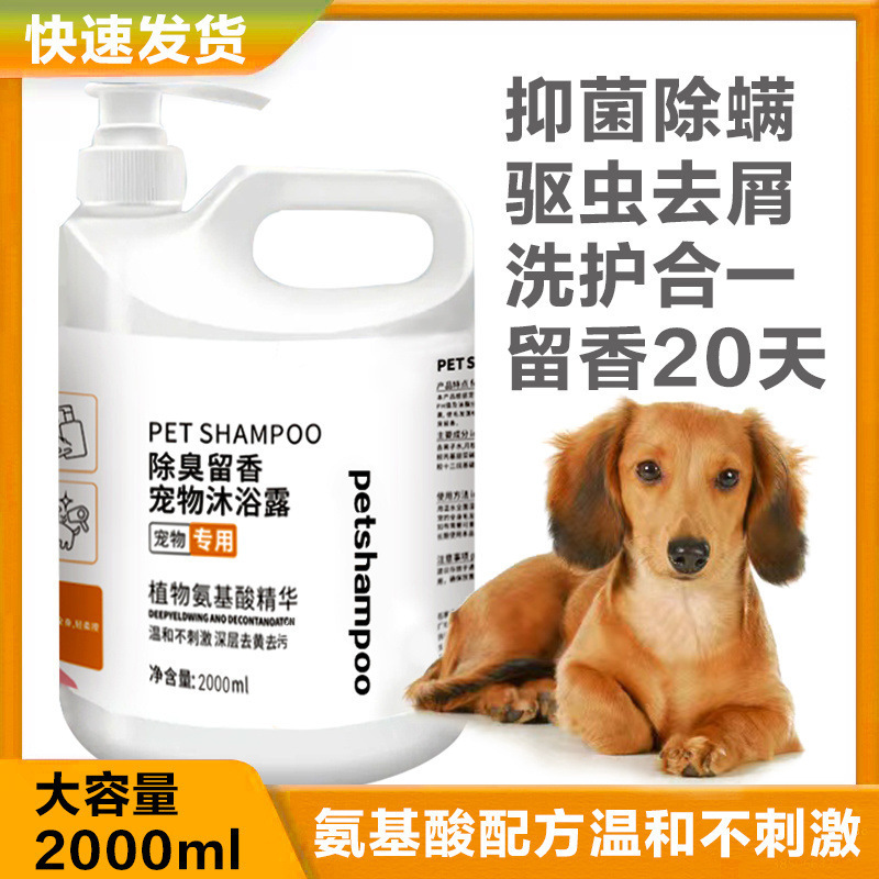 狗狗大桶沐浴露杀菌除螨除虫止痒留香泰迪比熊金毛专用洗澡香波|undefined