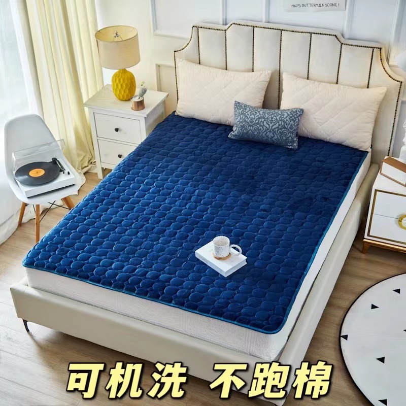 퓨어 블루 [플란넬]