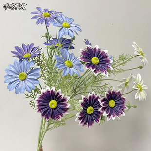 Ī���L����滨 �ָ��ľ�ins���Q���N��ʽ ��ĭ�񌍻��� �ߙn�ٻ�