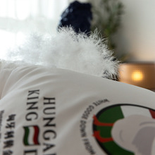 匈牙利羽绒被子95%白鹅绒冬被冬天家用保暖加厚充绒高端被芯