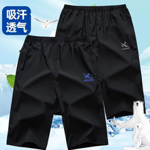 �ļ���ʿ�߷�ѝ���e�\�ӏ������ٸɶ���ѝ���еؔ��R��ҹ��������