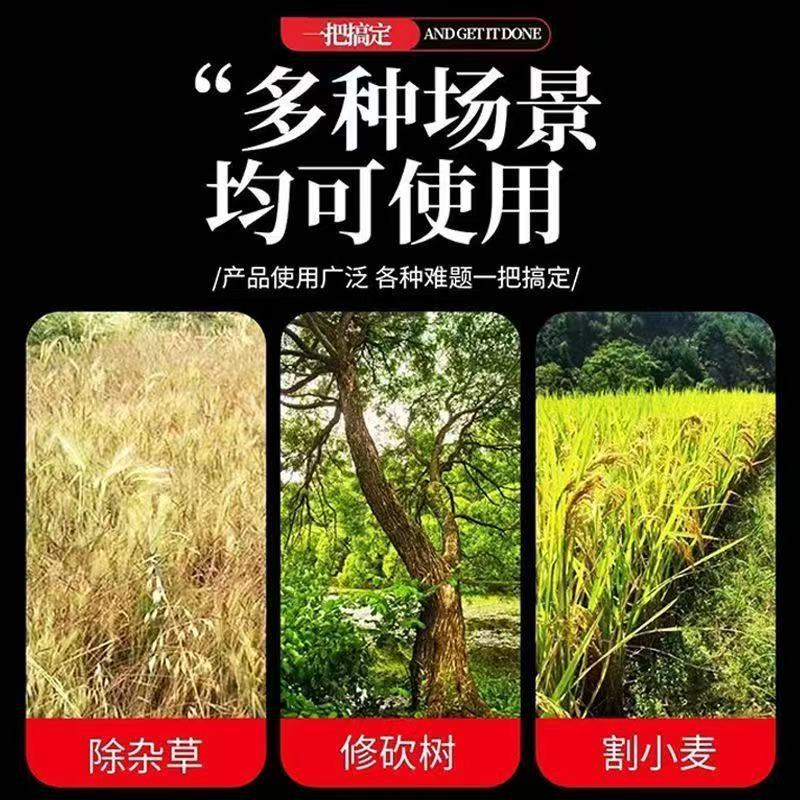 微信图片_20260207111038_86_28.jpg