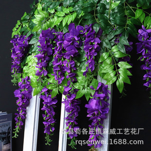 ���滨���ٻ��ٻ��㶹�� ��c�zӰ�����ٗl�b��ړ��p�@�������