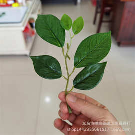 仿真植物仿真花叶配件　胶布小三角梅叶　仿真树装饰过胶叶片批发