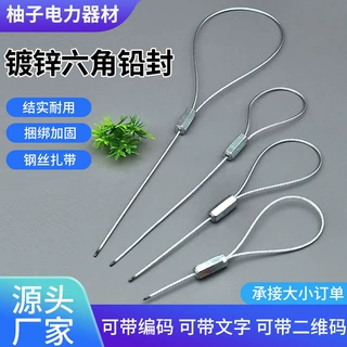 厂家批发钢丝铅封一次性防盗镀锌封条燃气水表电表封签物流施封锁