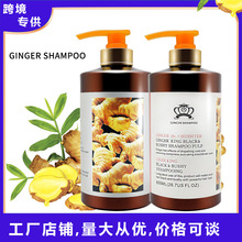 羳רںŨϴˮ GINGER SHAMPOO˳ϴ