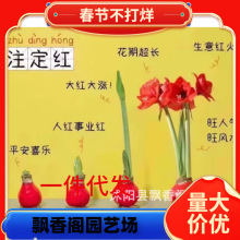 Ϟ����피t�M���ذ�N�򰢸���Ϟ�����Ԏ�����ע���t�Y���b������