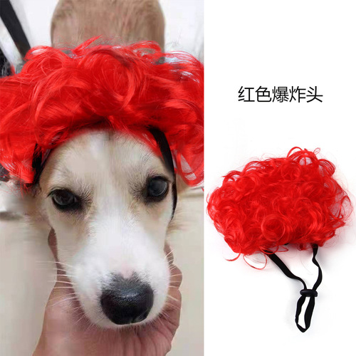 Z wholesale pet wigs and headwear for dogs and cats with bangs and afro teddy dress up funny holiday supplies