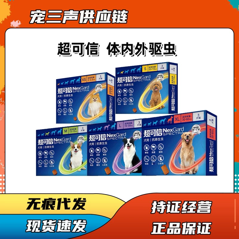 Супер заслуживающие доверия собаки интегрированы внутри и снаружи