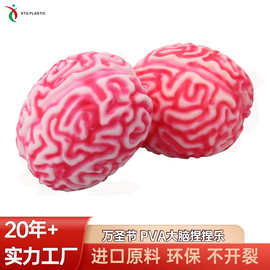 爆款减压PVA大脑发泄球捏捏乐批发儿童创意仿真解压玩具大号出口